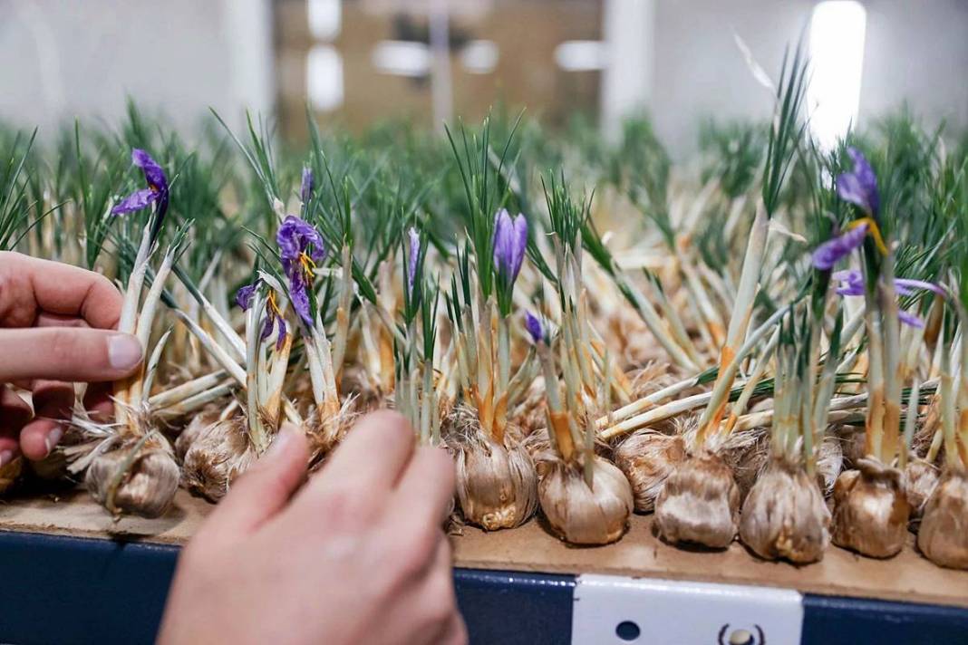 14 metrekarelik odaya kurduğu sistemle köşeyi döndü! 11